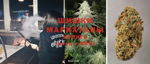 PSILOCYBIN Магадан