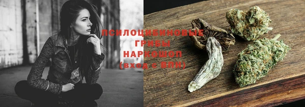 PSILOCYBIN Магадан