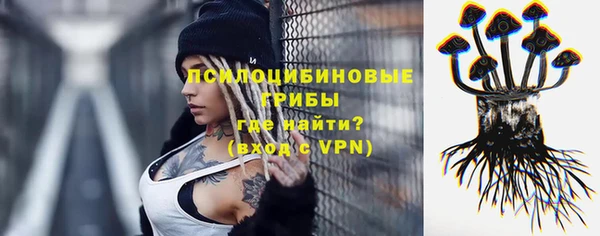 герыч Долгопрудный