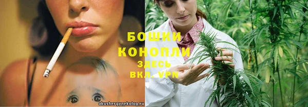 герыч Долгопрудный