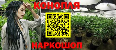 гидра Малгобек