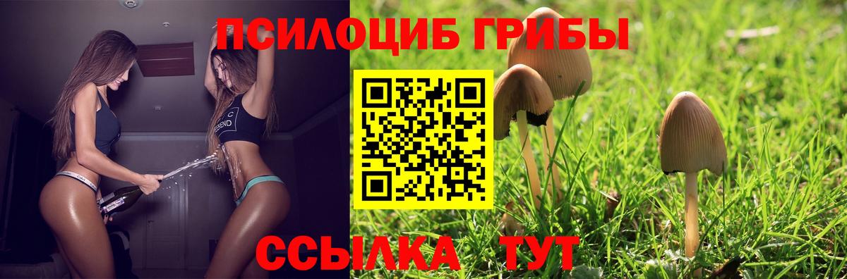Галлюциногенные грибы MAGIC MUSHROOMS  как найти закладки  Дюртюли  Вход с VPN  Псилоцибиновые грибы Cubensis 